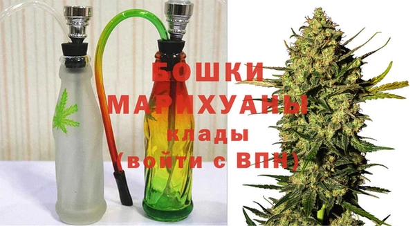 мдпв Белокуриха