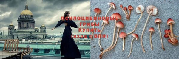 мдпв Белокуриха